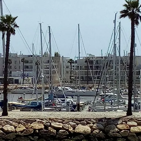 Cardeira